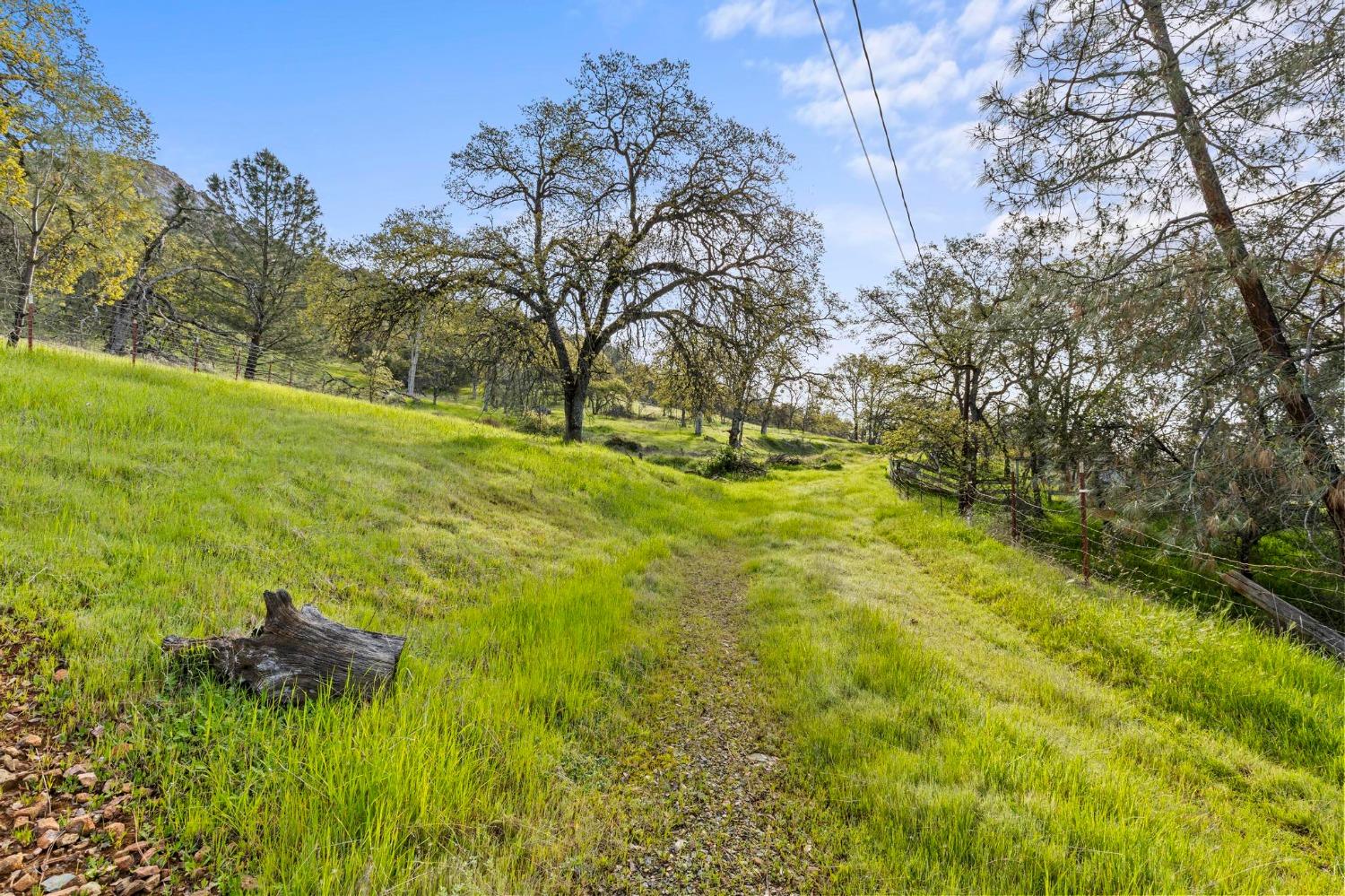 Dawn Drive, Loma Rica, California image 25