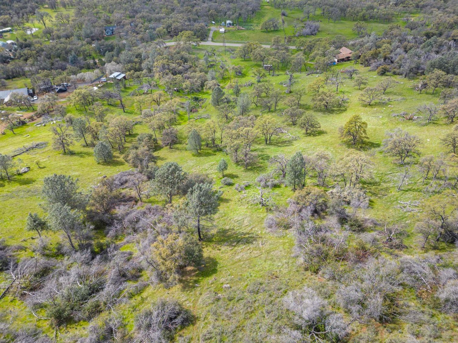 Dawn Drive, Loma Rica, California image 9