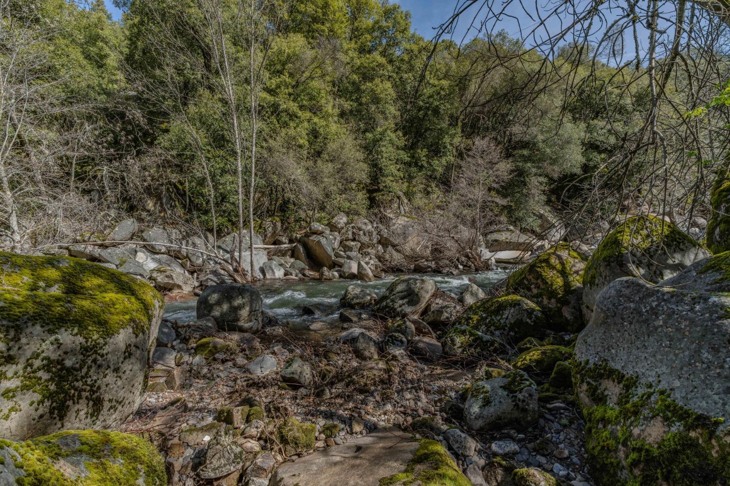 Emigrant Trail, River Pines, California image 34