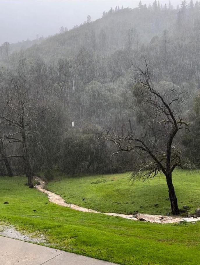 Valley Bottom Road, Sutter Creek, California image 50