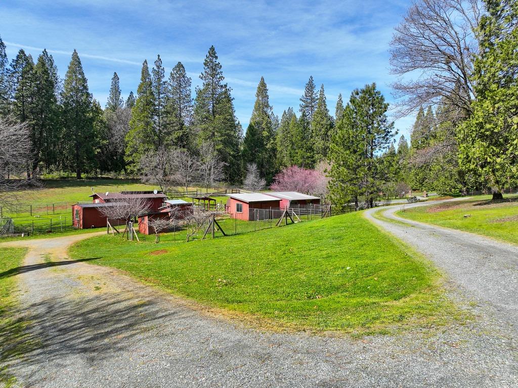 State Highway 193, Georgetown, California image 47