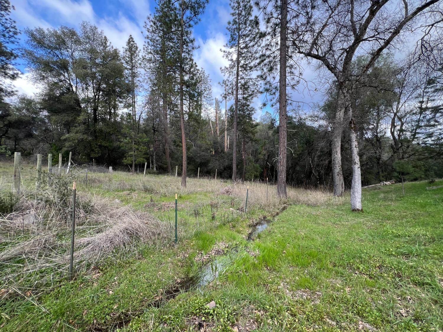 Magic Mine Road, Somerset, California image 11