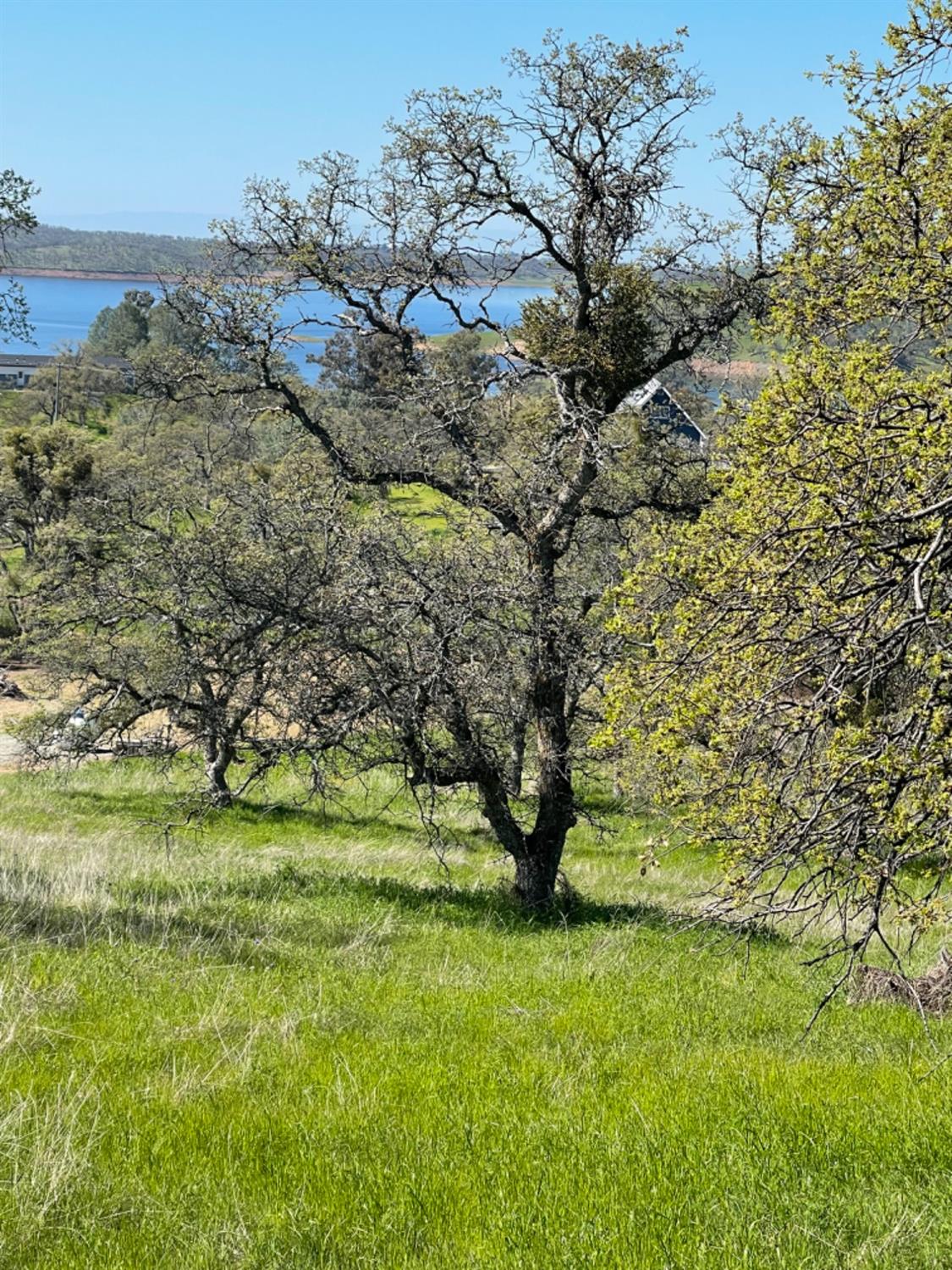 Arbolada Drive, La Grange, California image 5