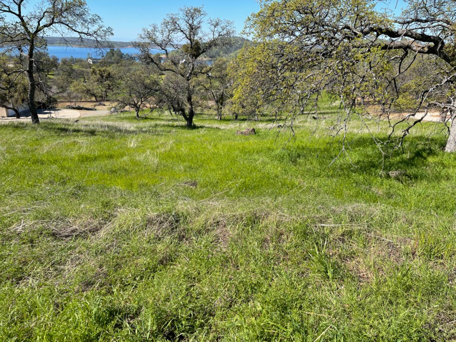 Arbolada Drive, La Grange, California image 13