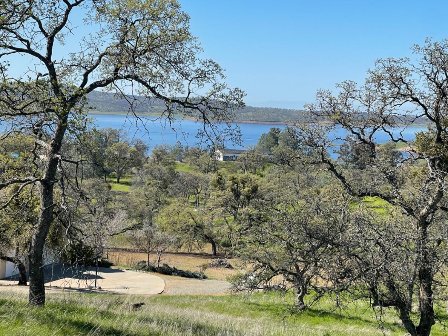 Arbolada Drive, La Grange, California image 7