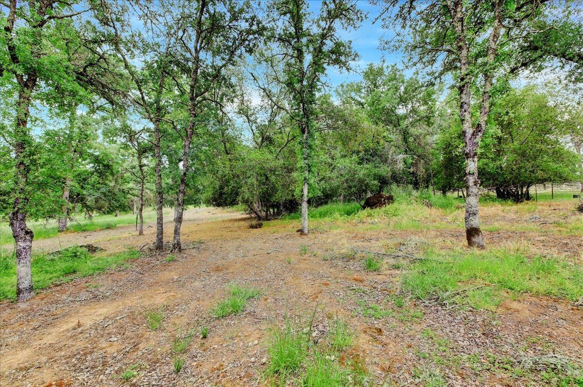 Turkey Hollow Trail, Browns Valley, California image 3