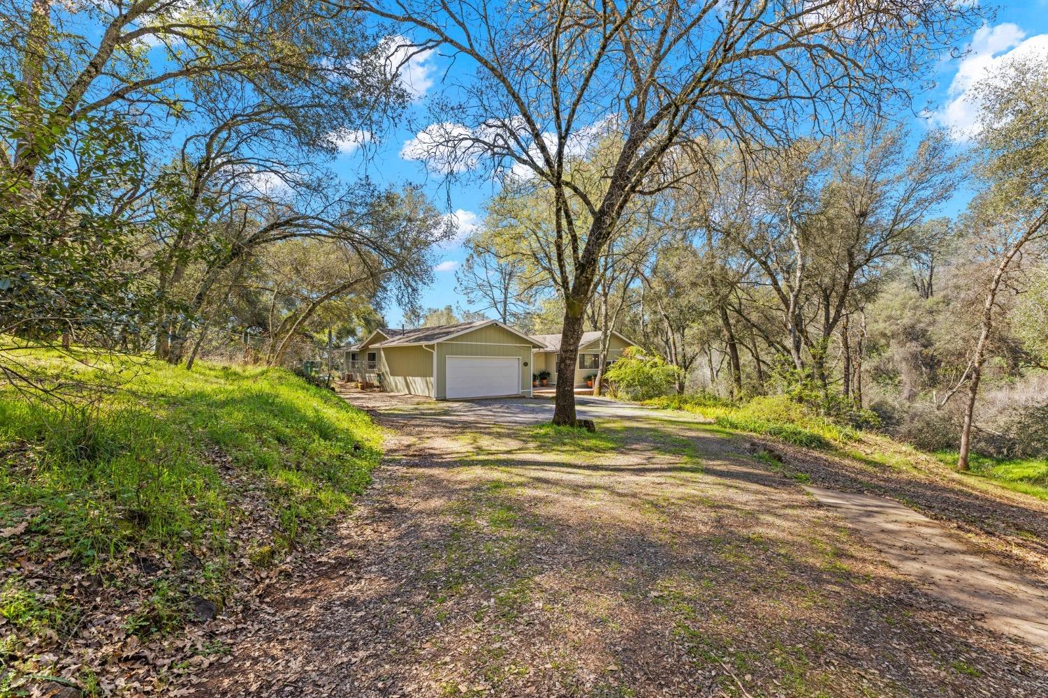 Lora Lane, Shingle Springs, California image 2