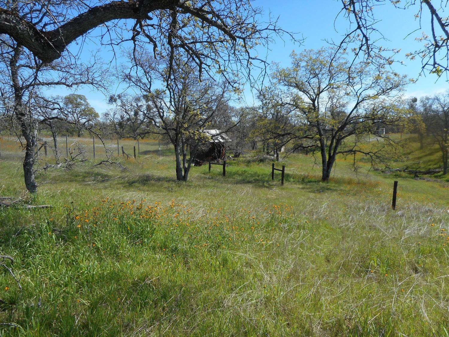 Parra Court, La Grange, California image 12