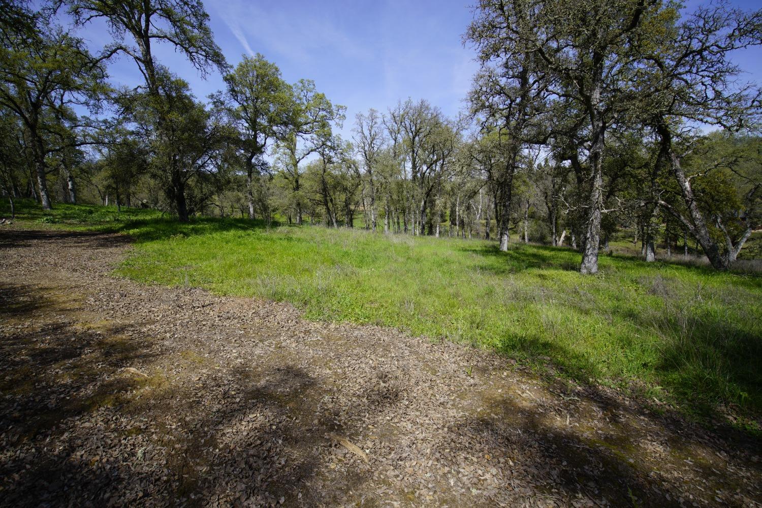 Turkey Hollow Trail, Browns Valley, California image 16