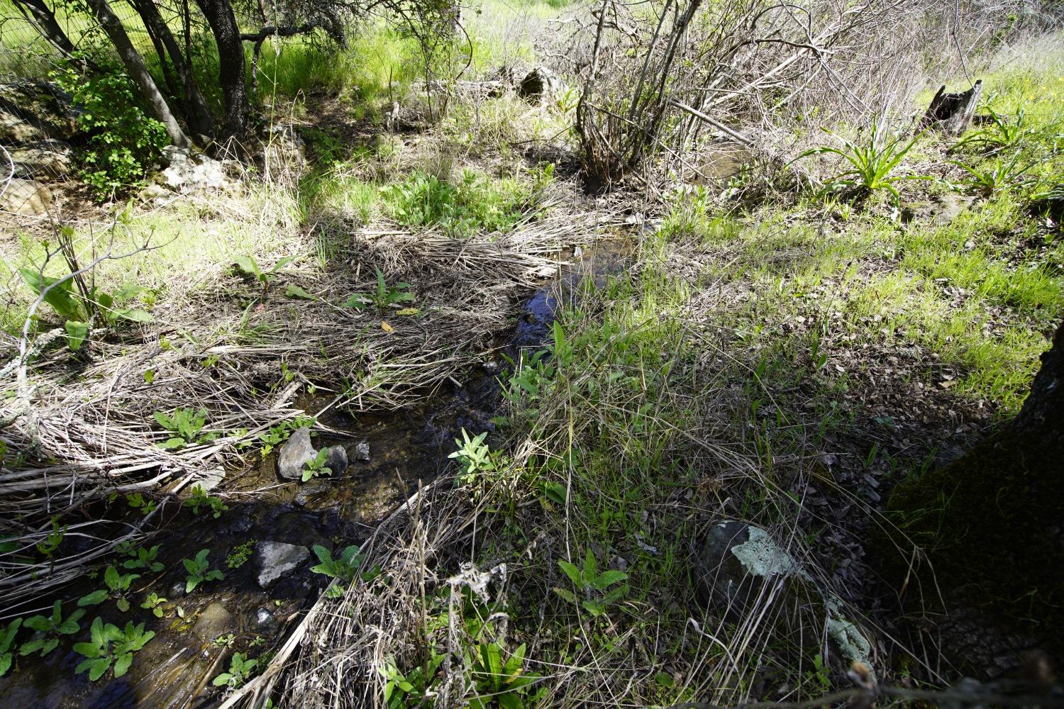 Turkey Hollow Trail, Browns Valley, California image 33