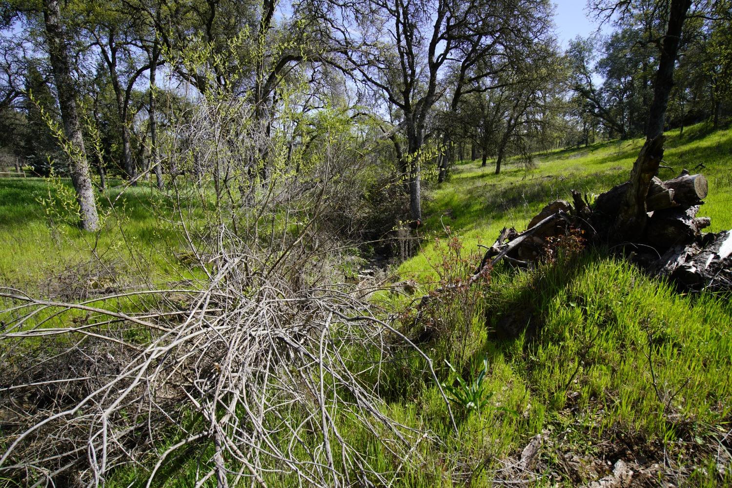 Turkey Hollow Trail, Browns Valley, California image 34