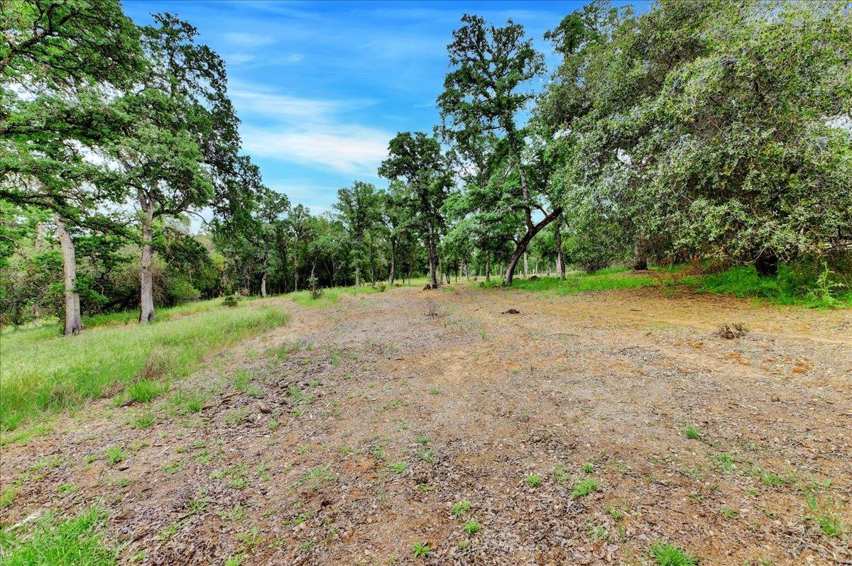 Turkey Hollow Trail, Browns Valley, California image 5