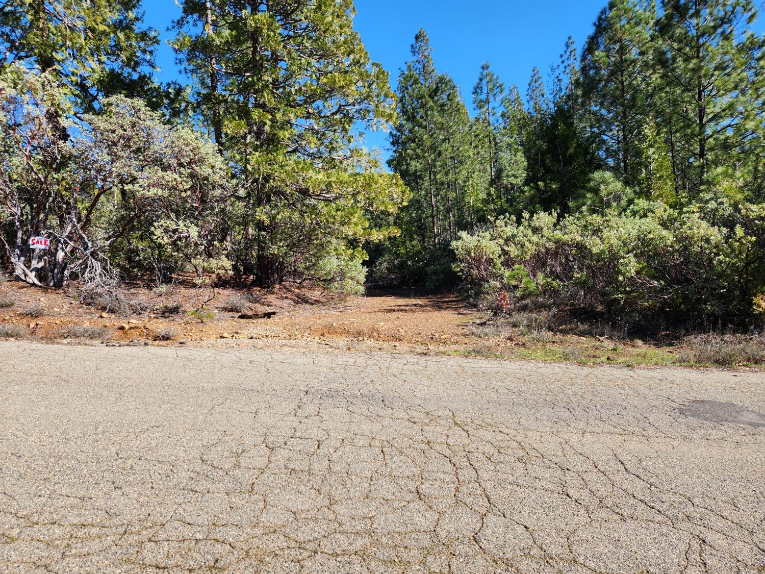 New York Flat Road, Forbestown, California image 16