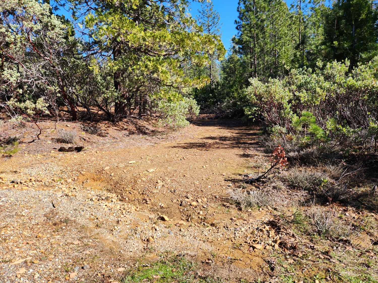 New York Flat Road, Forbestown, California image 3