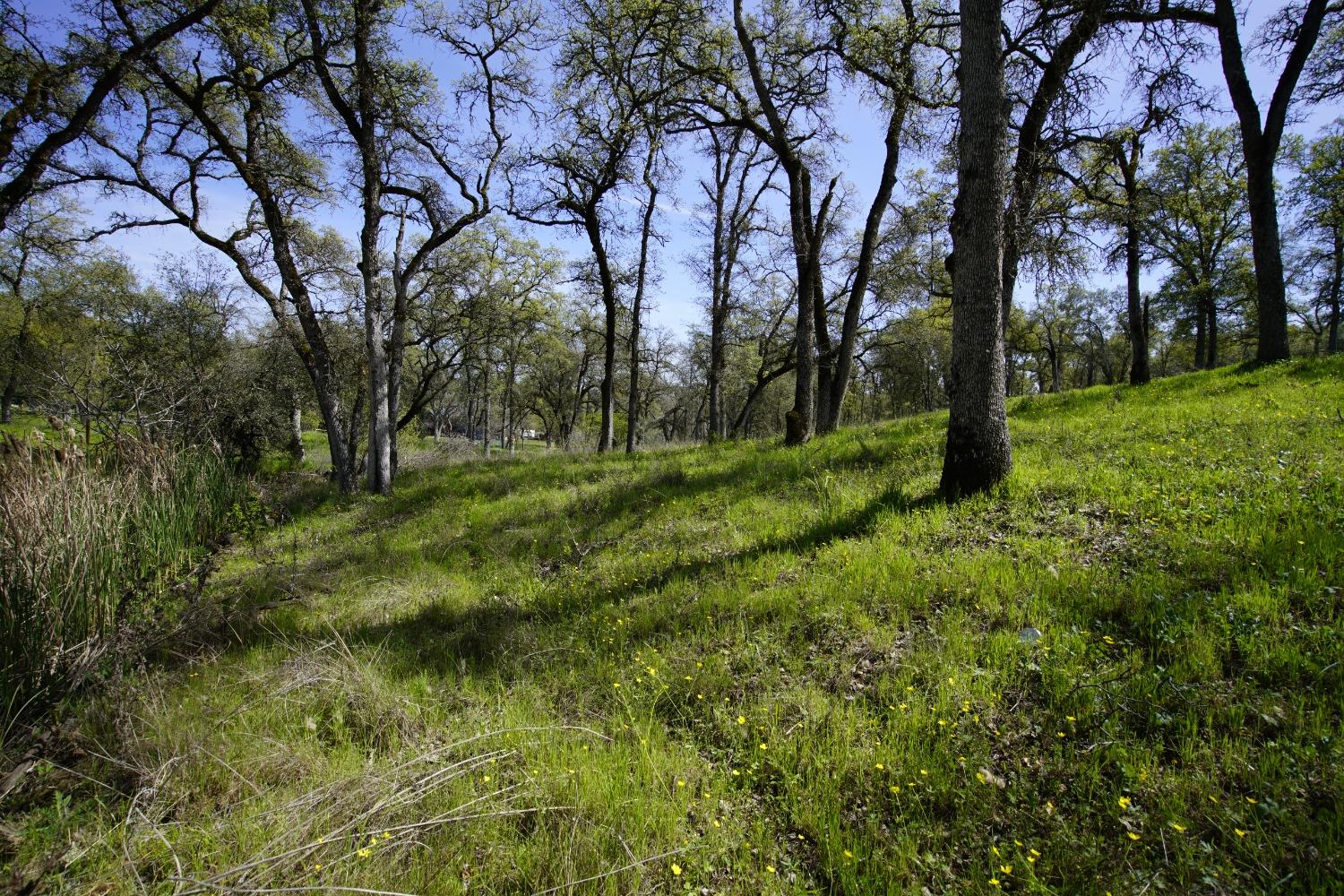 Detail Gallery Image 30 of 39 For 24 Turkey Hollow Trail, Browns Valley,  CA 95918 - – Beds | – Baths