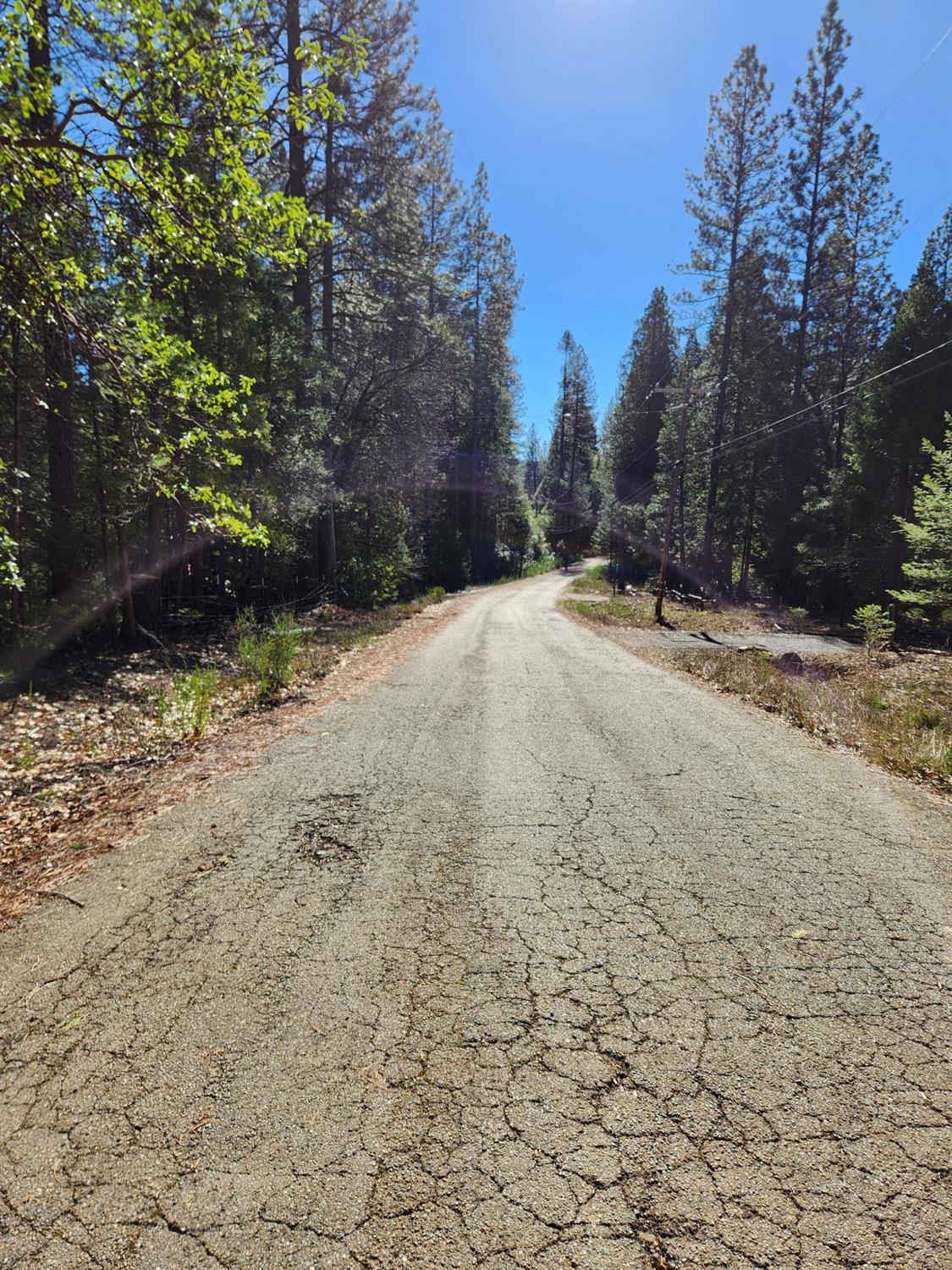 New York Flat Road, Forbestown, California image 14