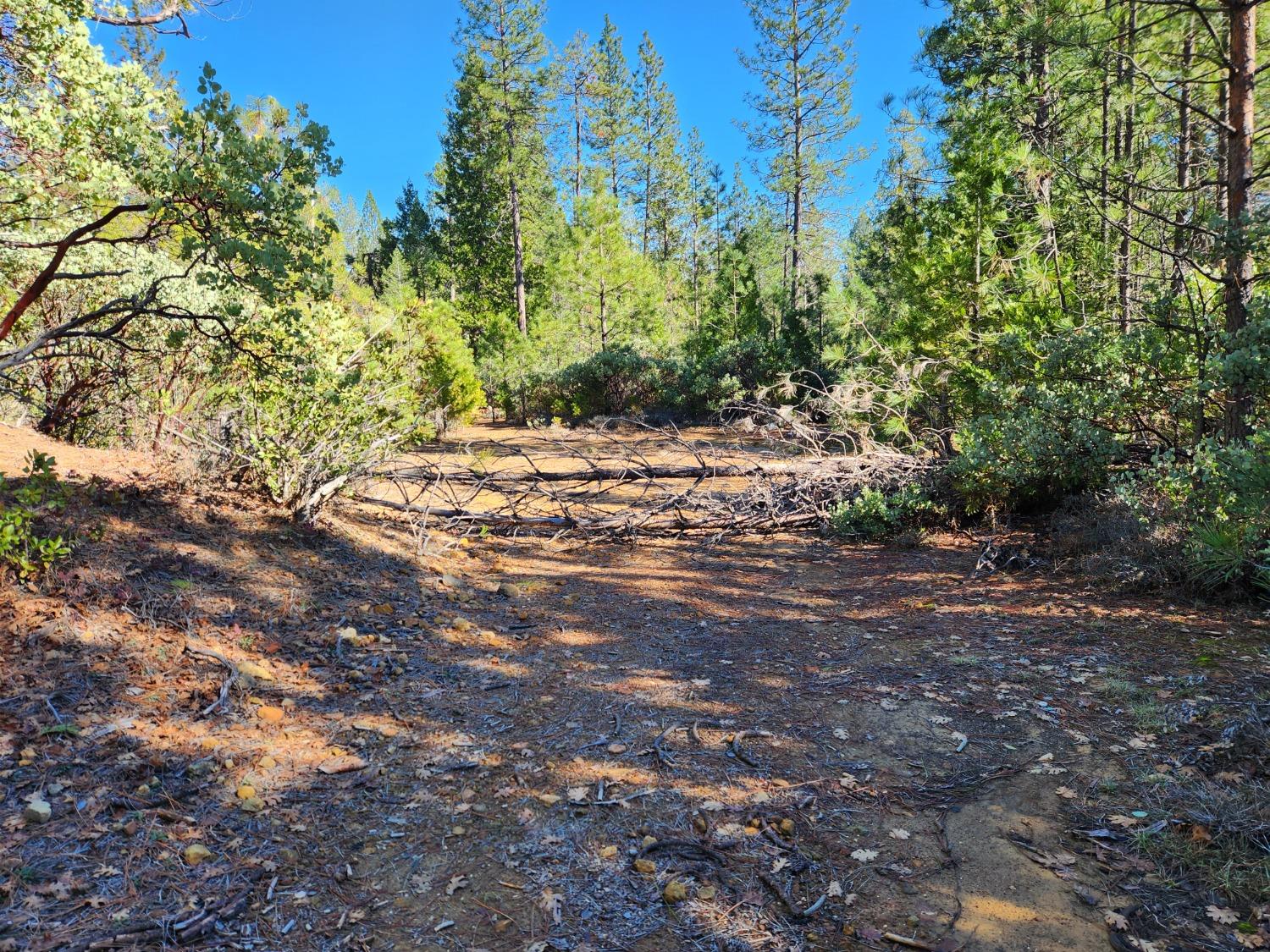 New York Flat Road, Forbestown, California image 4