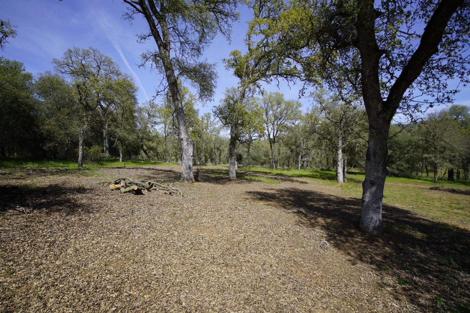 Turkey Hollow Trail, Browns Valley, California image 13