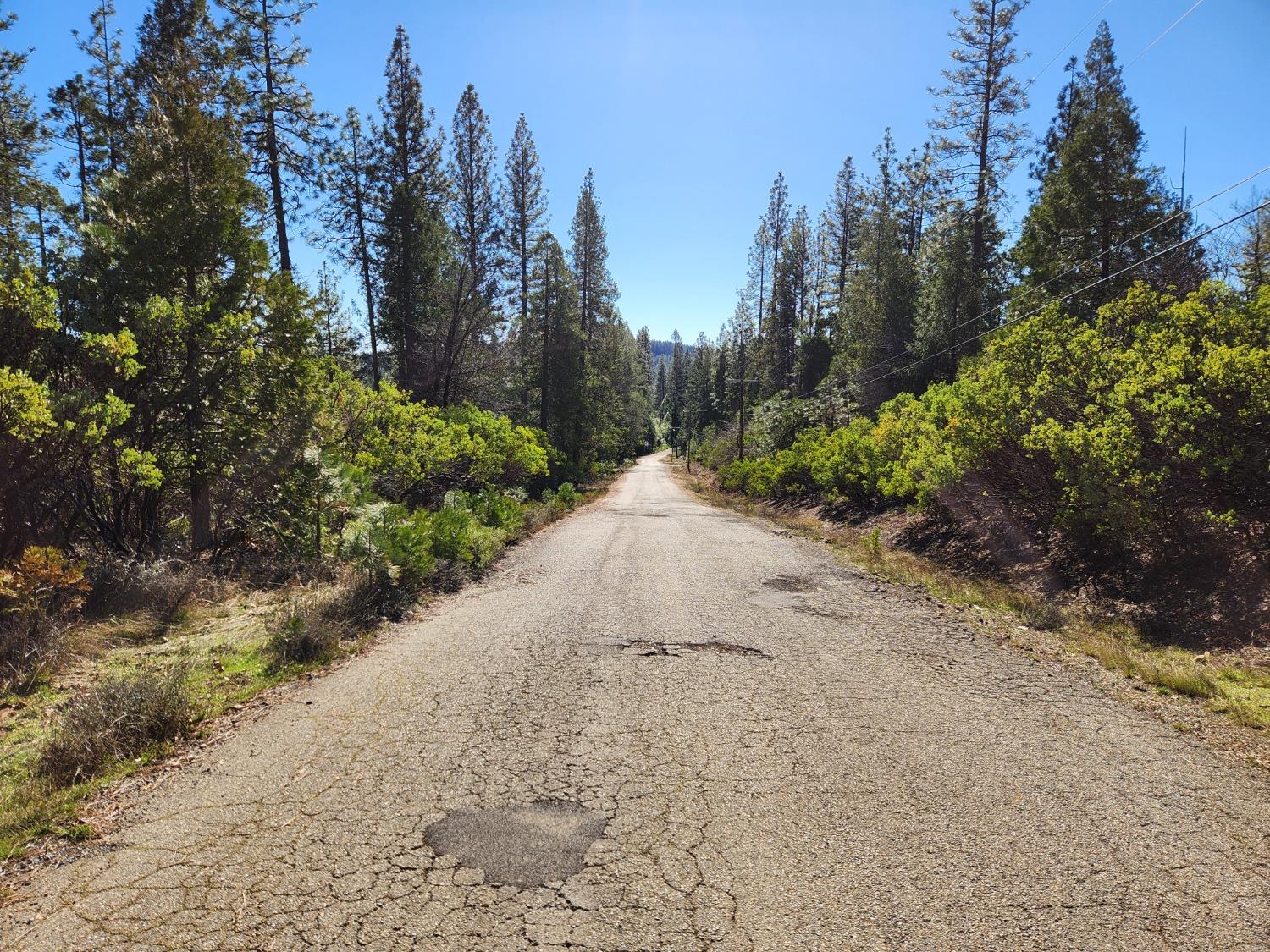 New York Flat Road, Forbestown, California image 13