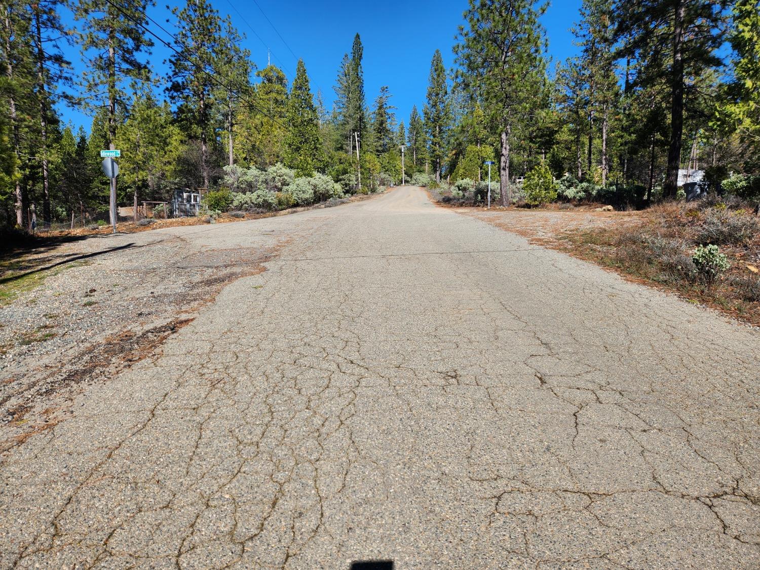 New York Flat Road, Forbestown, California image 12