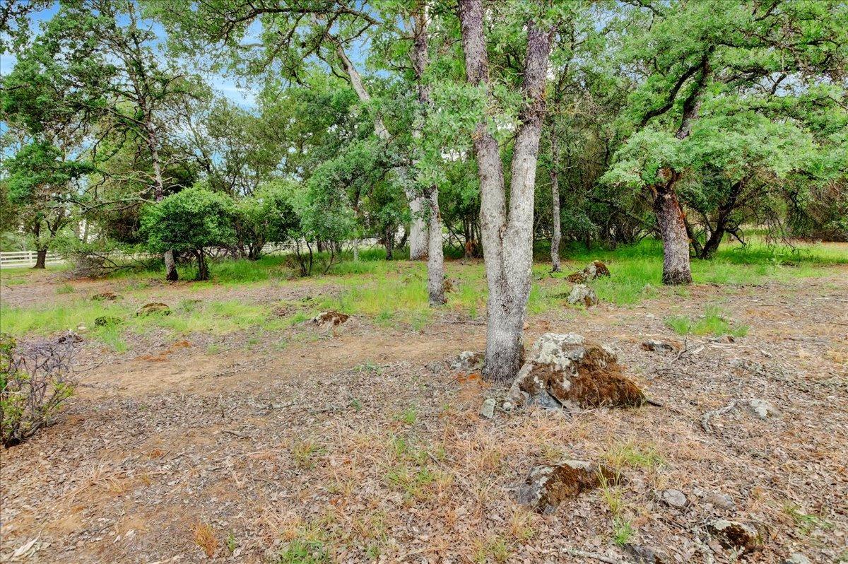 Turkey Hollow Trail, Browns Valley, California image 8