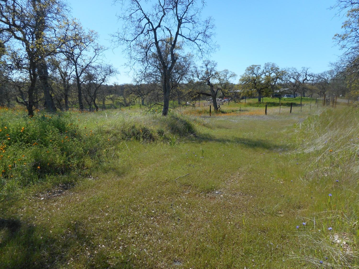 Parra Court, La Grange, California image 8