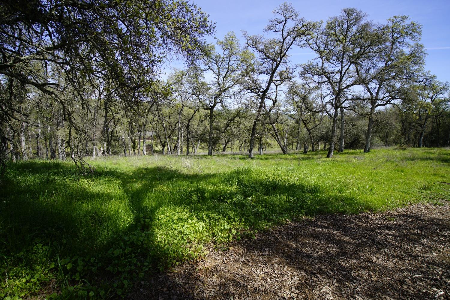 Turkey Hollow Trail, Browns Valley, California image 18