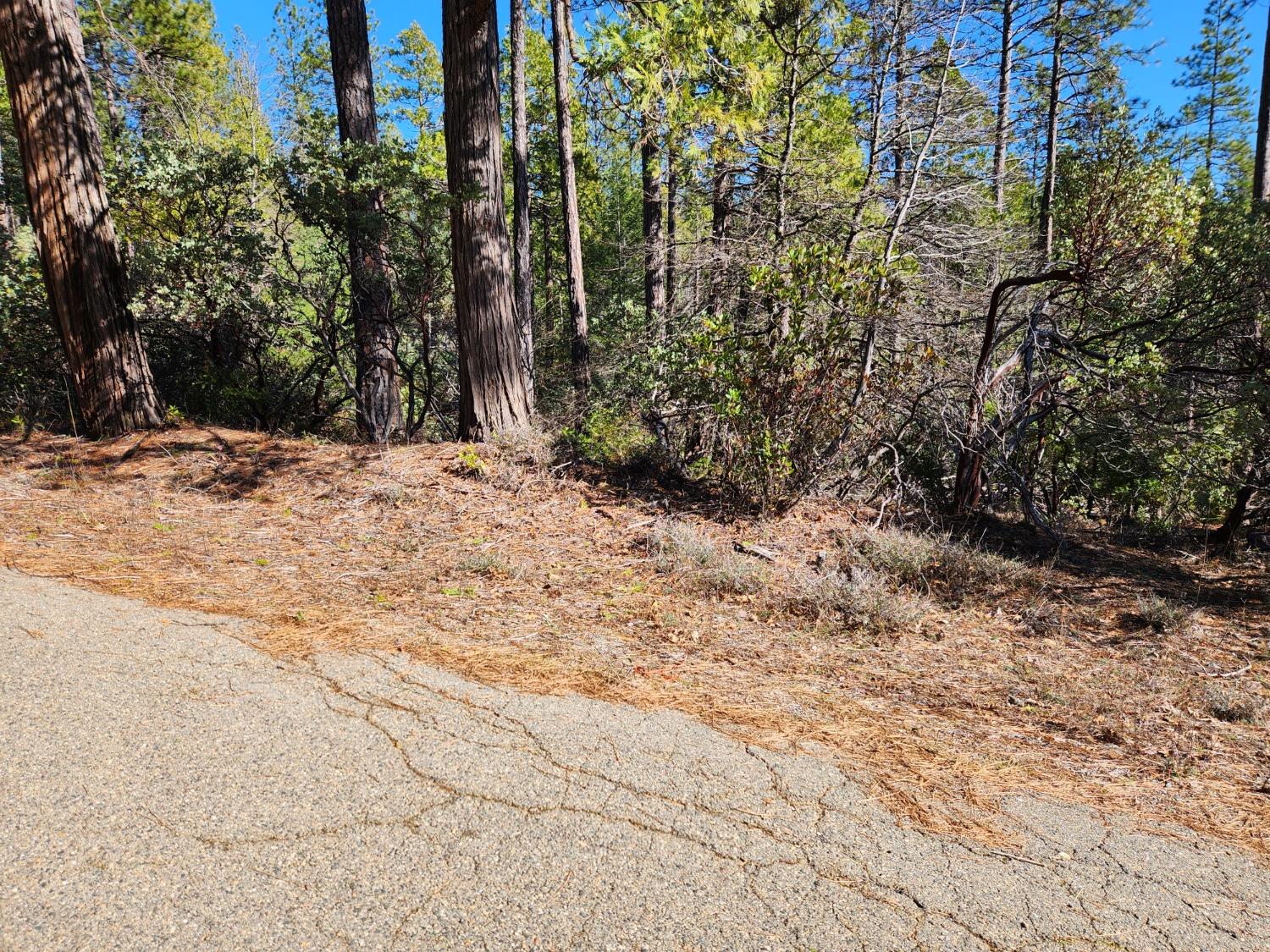 New York Flat Road, Forbestown, California image 15