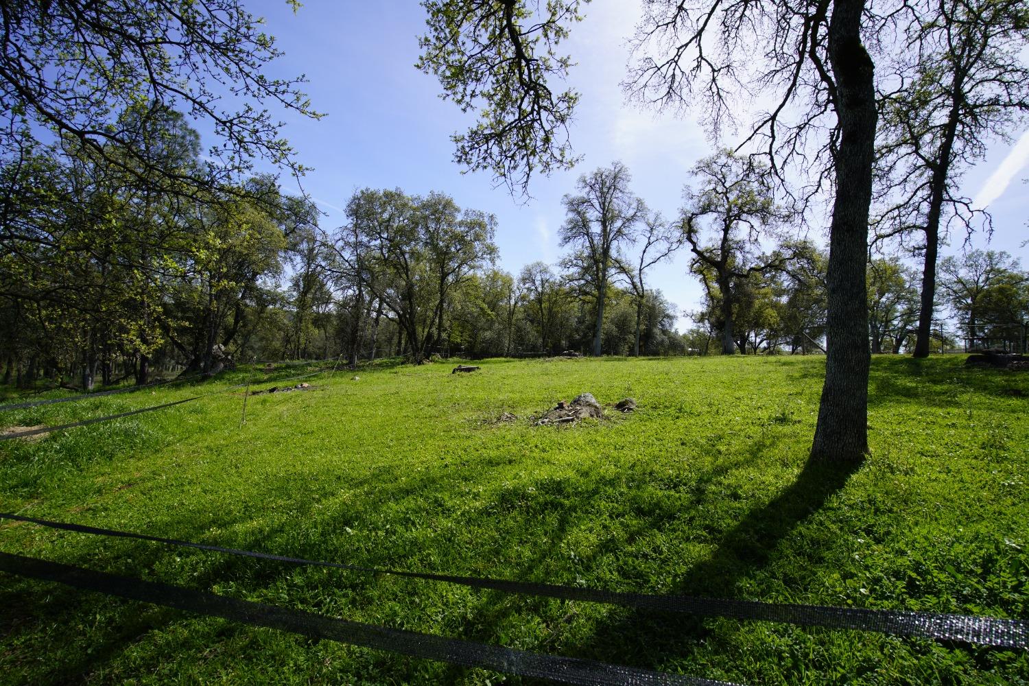 Turkey Hollow Trail, Browns Valley, California image 25