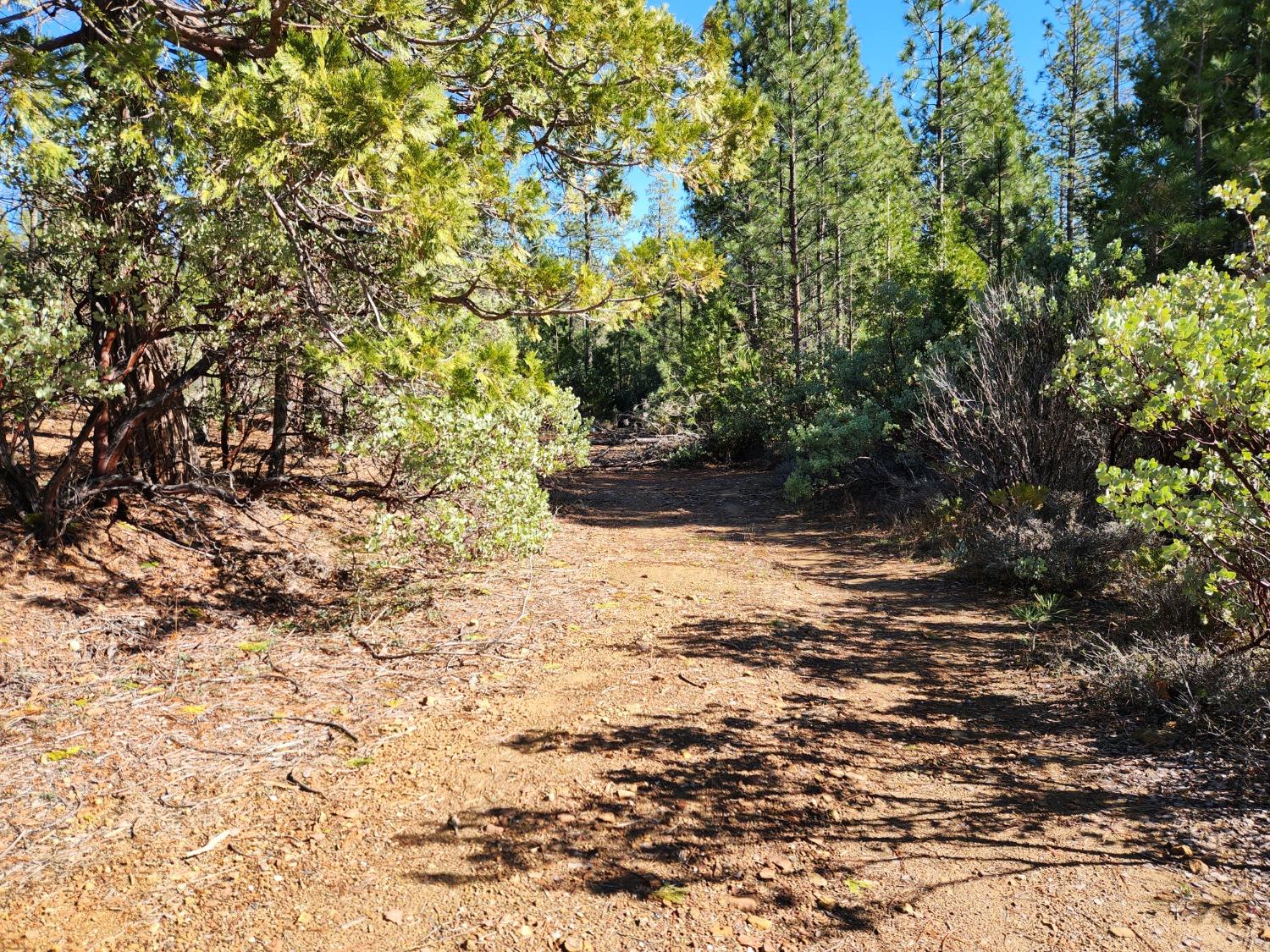 New York Flat Road, Forbestown, California image 2