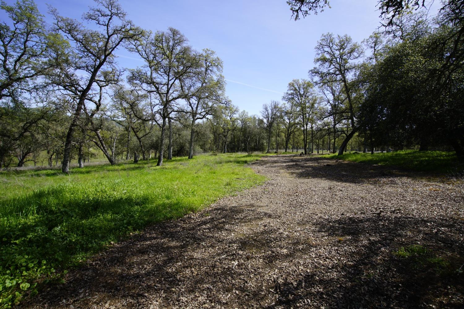 Turkey Hollow Trail, Browns Valley, California image 19