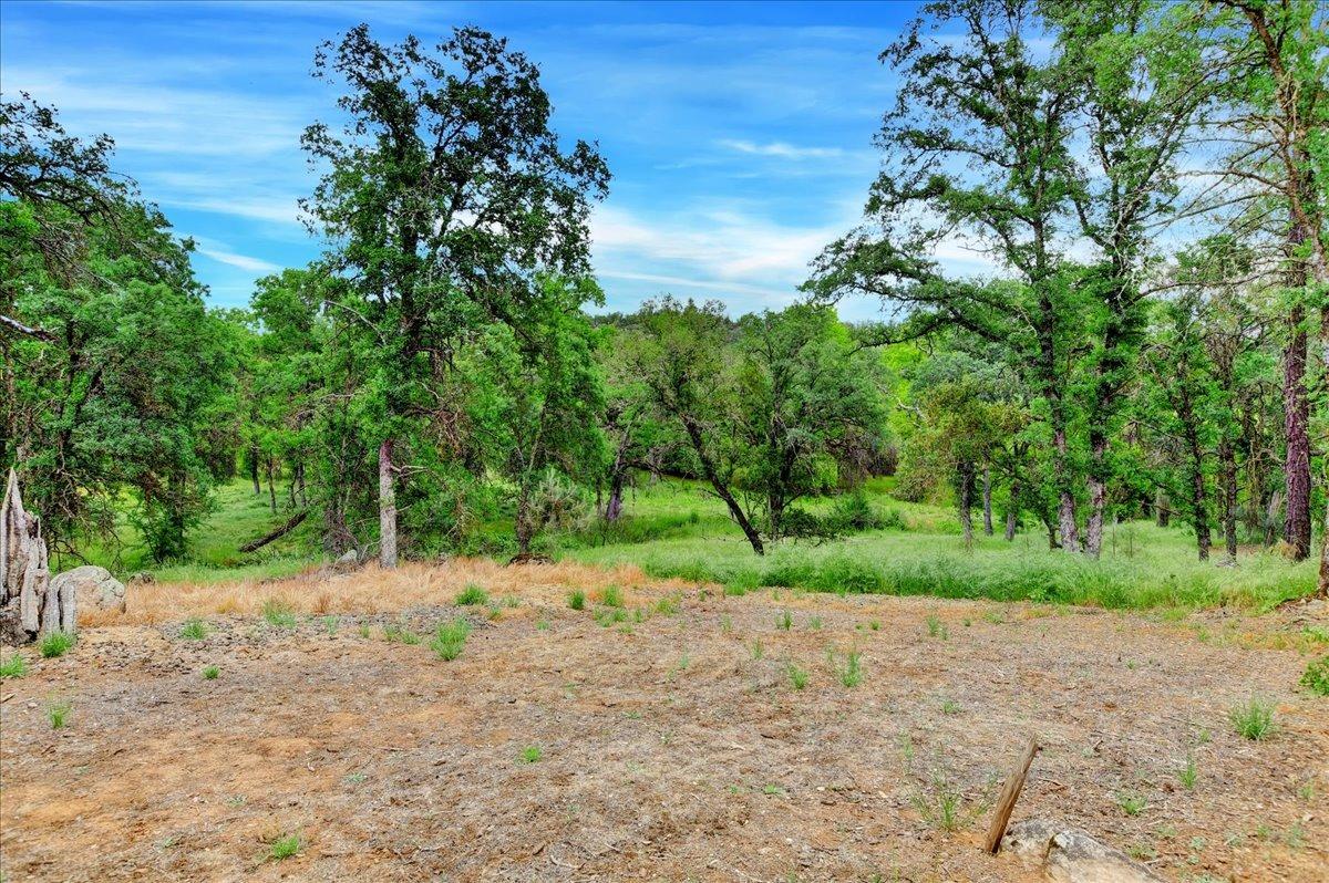 Photo of 24 Turkey Hollow Trl in Browns Valley, CA