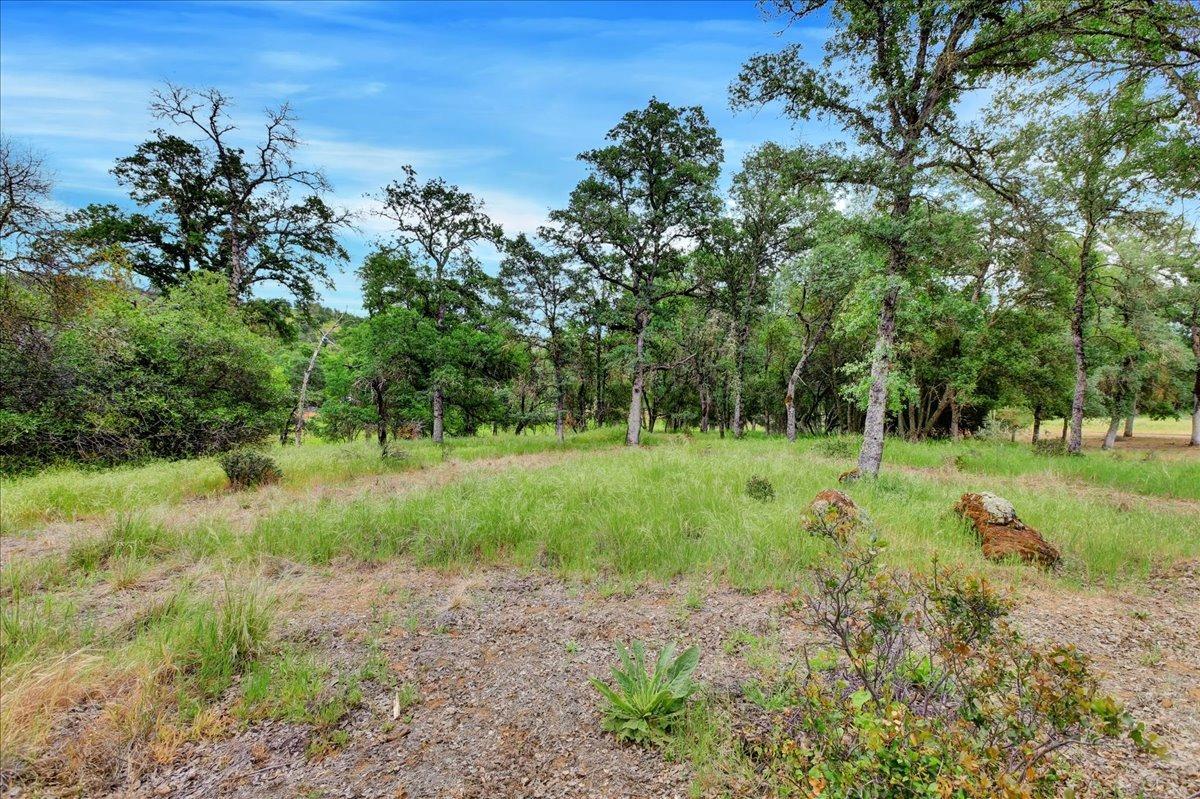 Turkey Hollow Trail, Browns Valley, California image 6