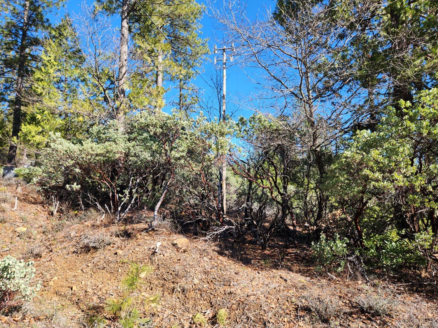 New York Flat Road, Forbestown, California image 9