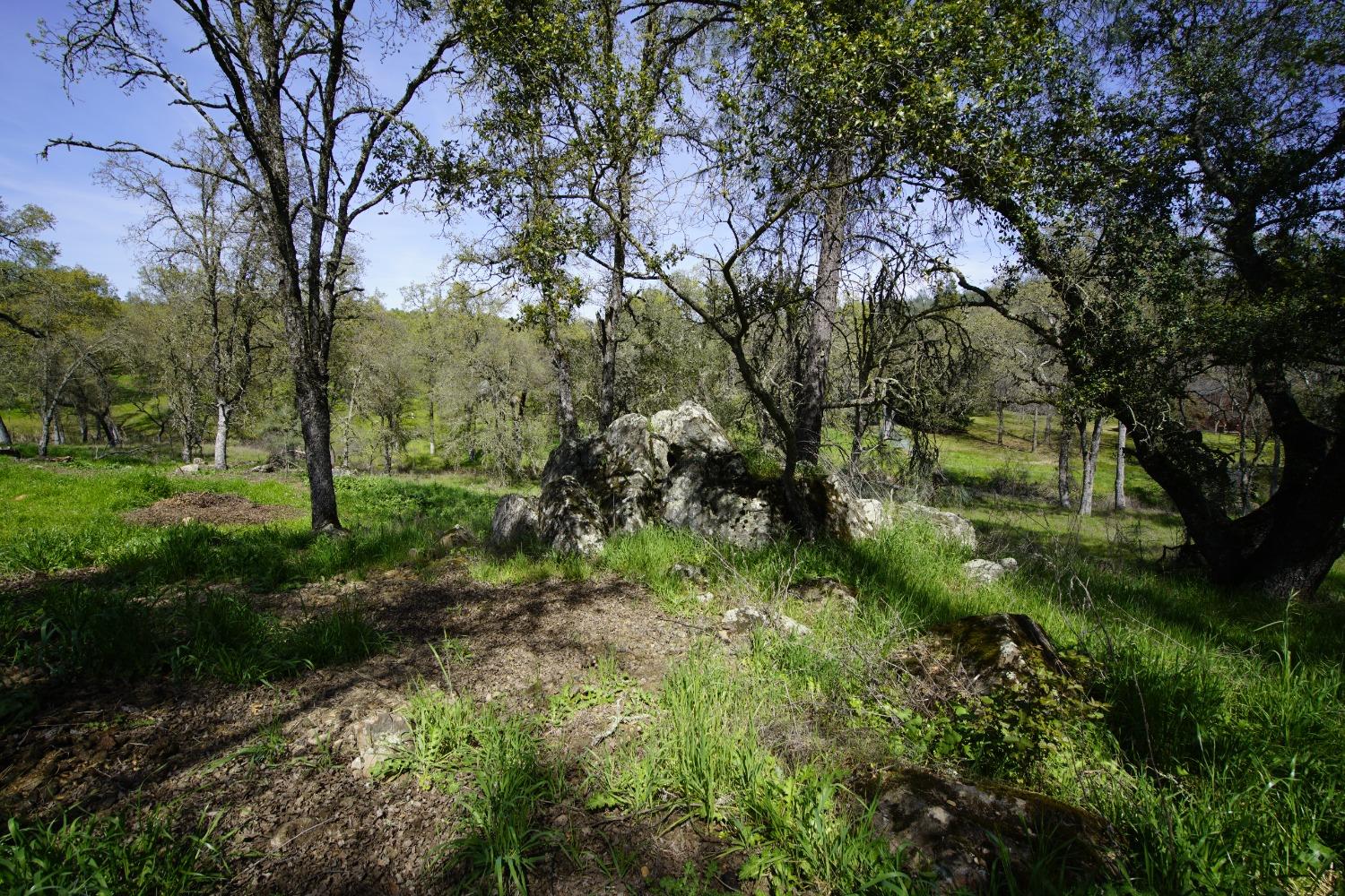 Turkey Hollow Trail, Browns Valley, California image 38