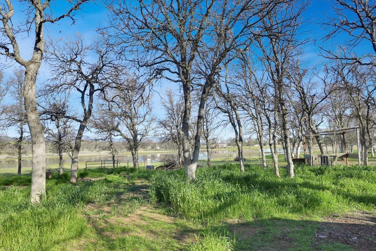 Fur Trader Lane, Stonyford, California image 36