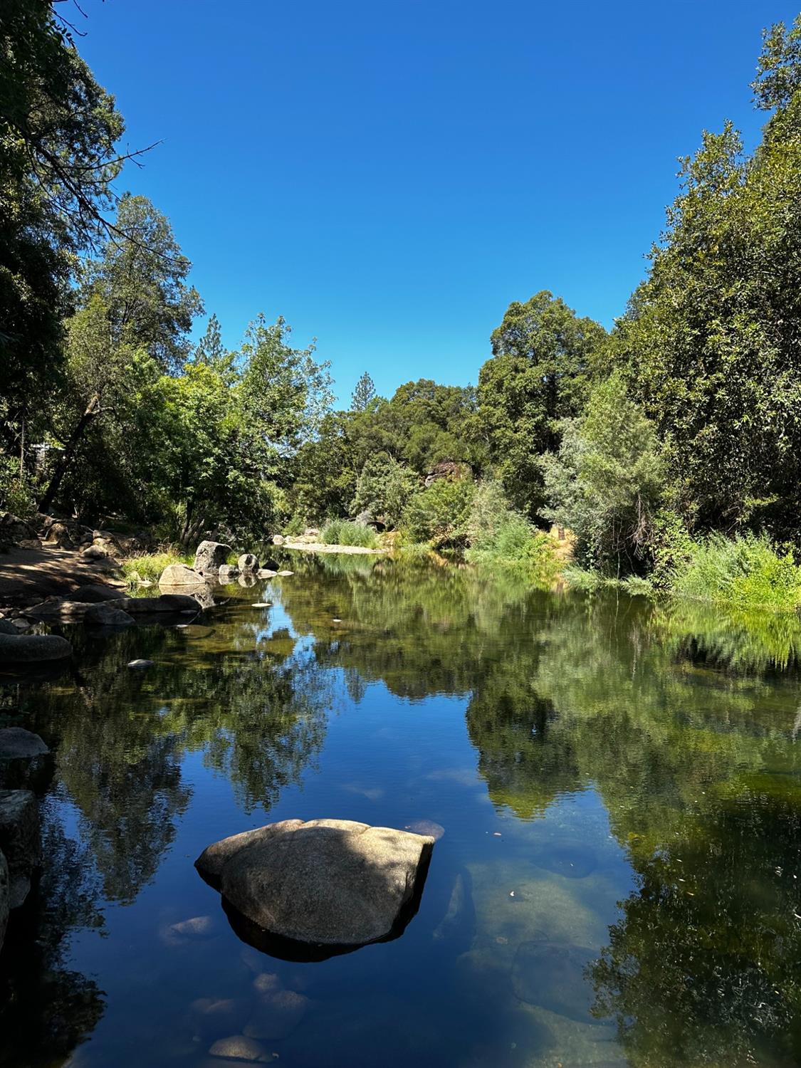 River Trail, River Pines, California image 4