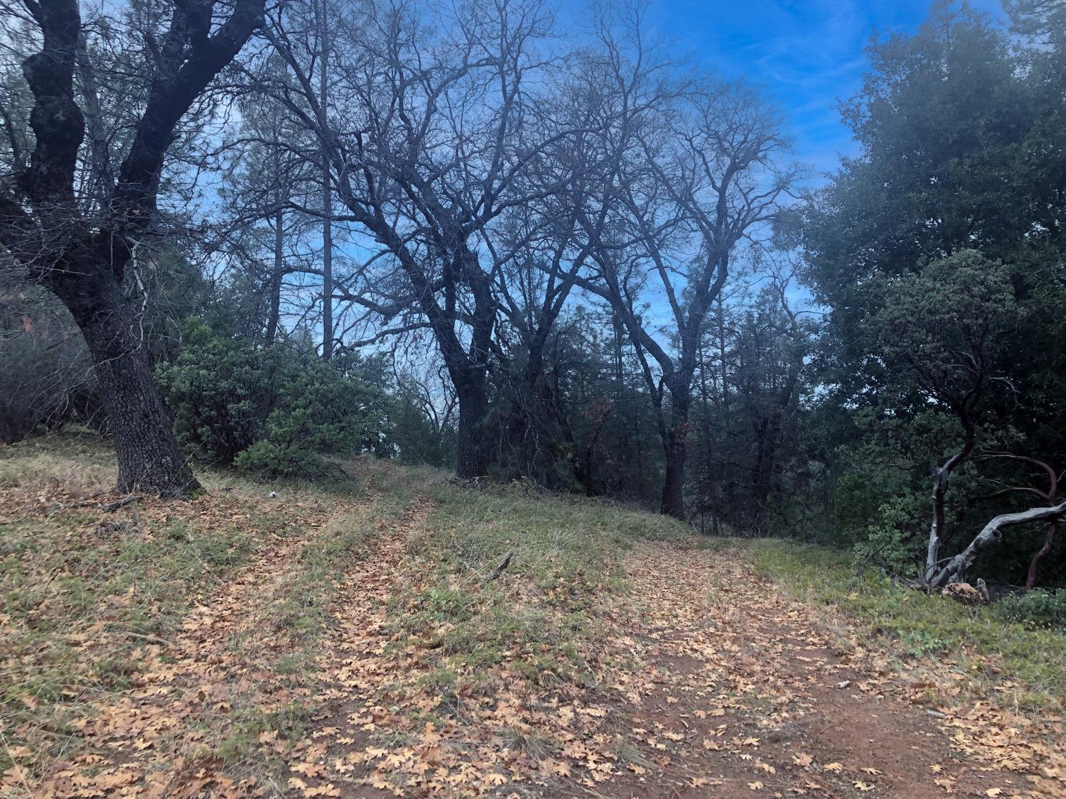 Skunk Hollow Lane, Rail Road Flat, California image 15