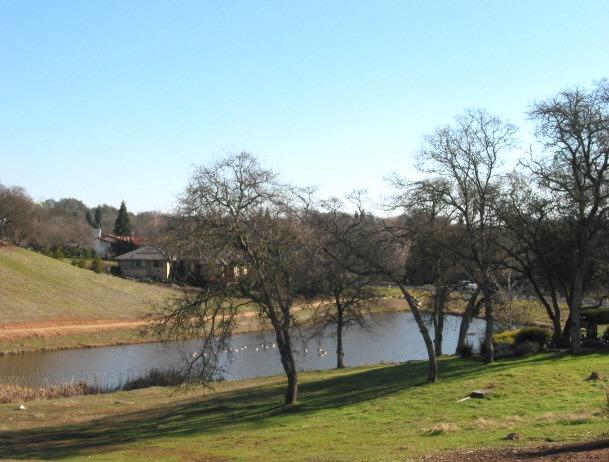 Fuente De Paz, Rancho Murieta, California image 2