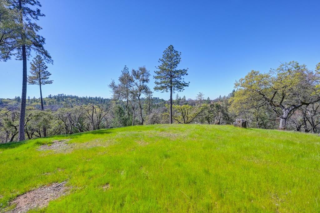 Hidden Gold Trail, Cool, California image 3