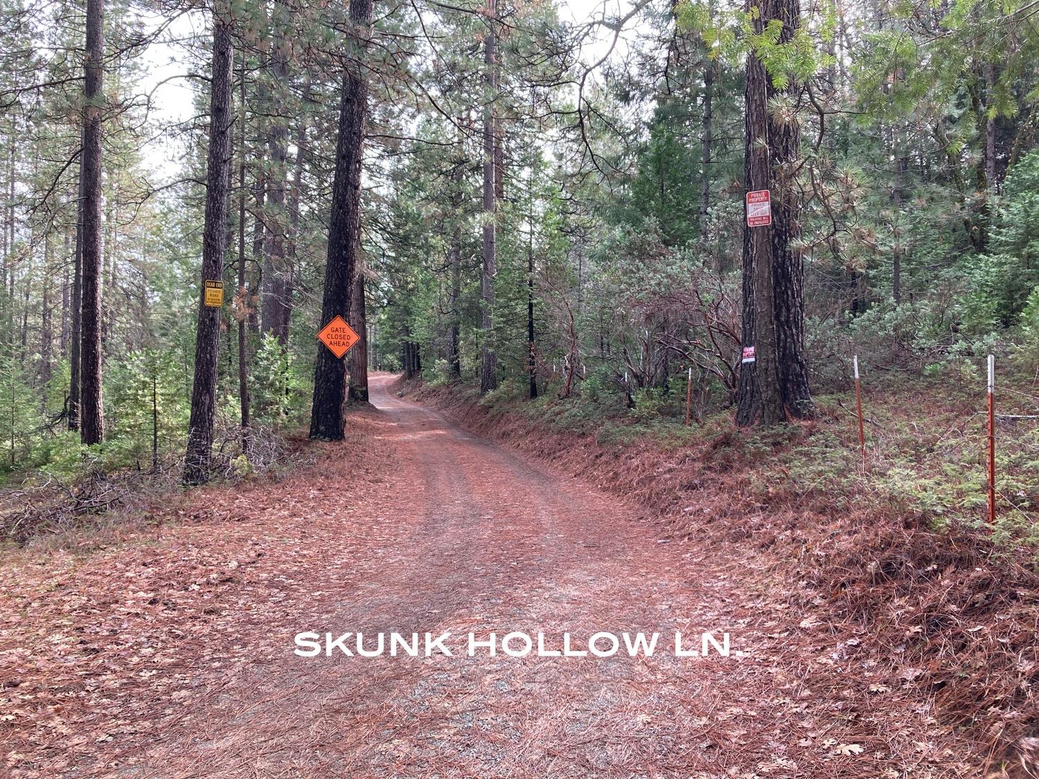 Skunk Hollow Lane, Rail Road Flat, California image 18