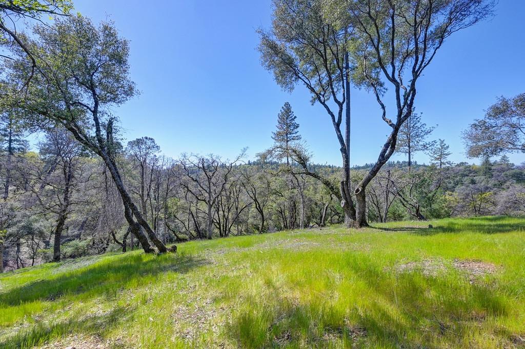 Hidden Gold Trail, Cool, California image 4