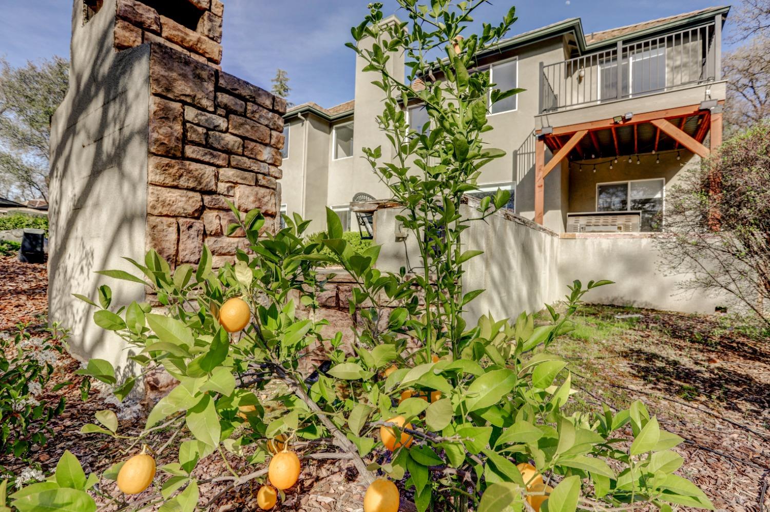 Detail Gallery Image 93 of 99 For 11233 Redhawk Ct, Auburn,  CA 95602 - 5 Beds | 4/1 Baths