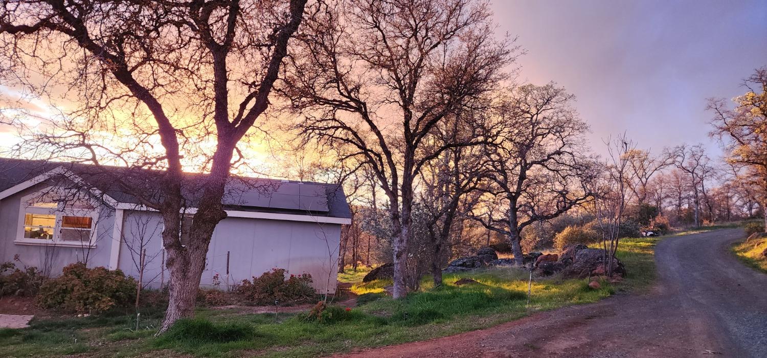 Lanza Lane, Browns Valley, California image 28