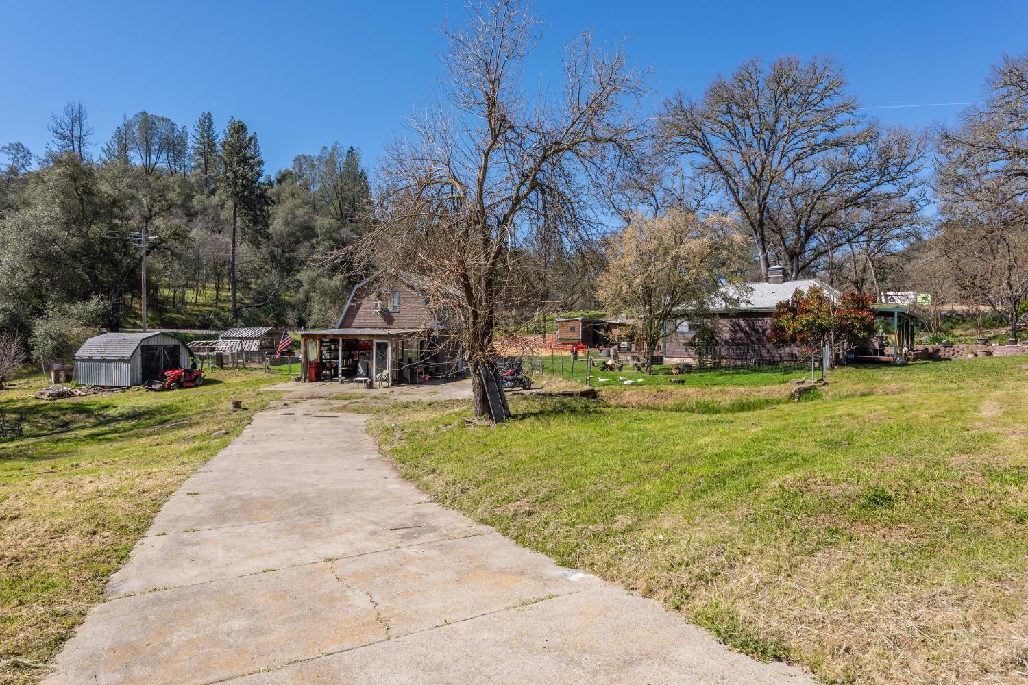 Lilyama Road, Pilot Hill, California image 3