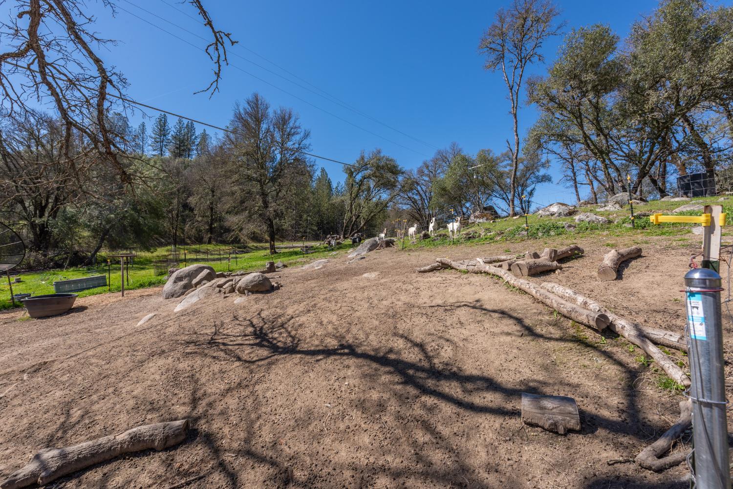 Lilyama Road, Pilot Hill, California image 30