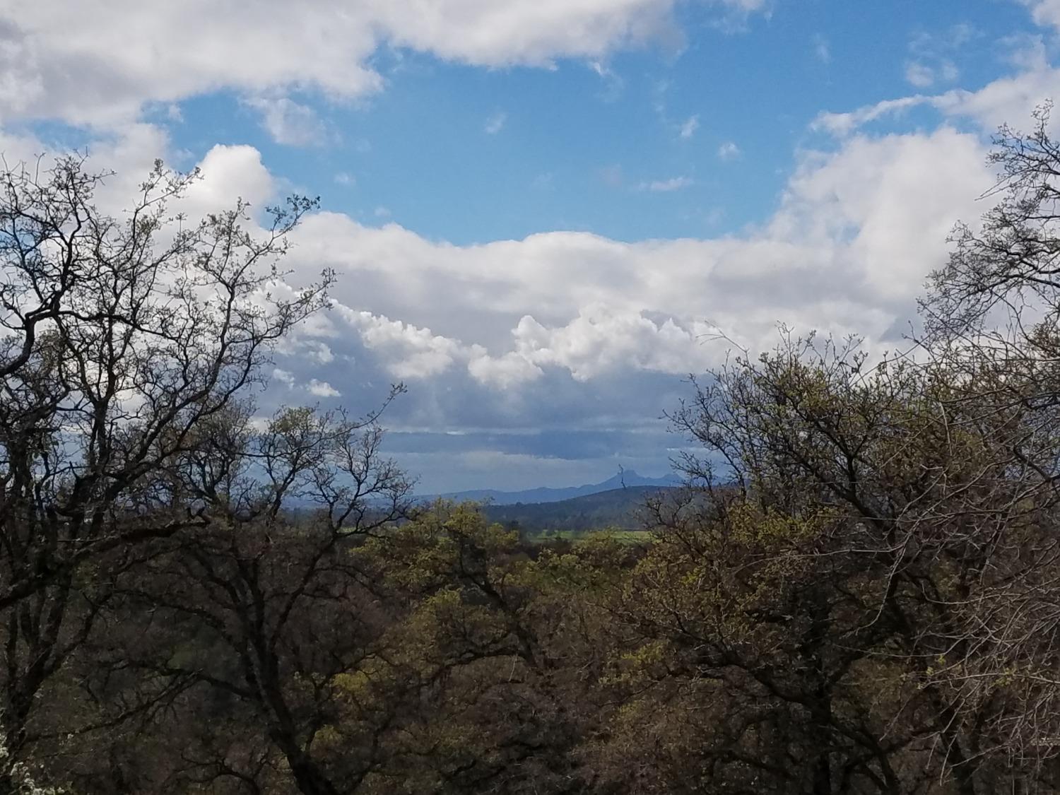 Lanza Lane, Browns Valley, California image 23