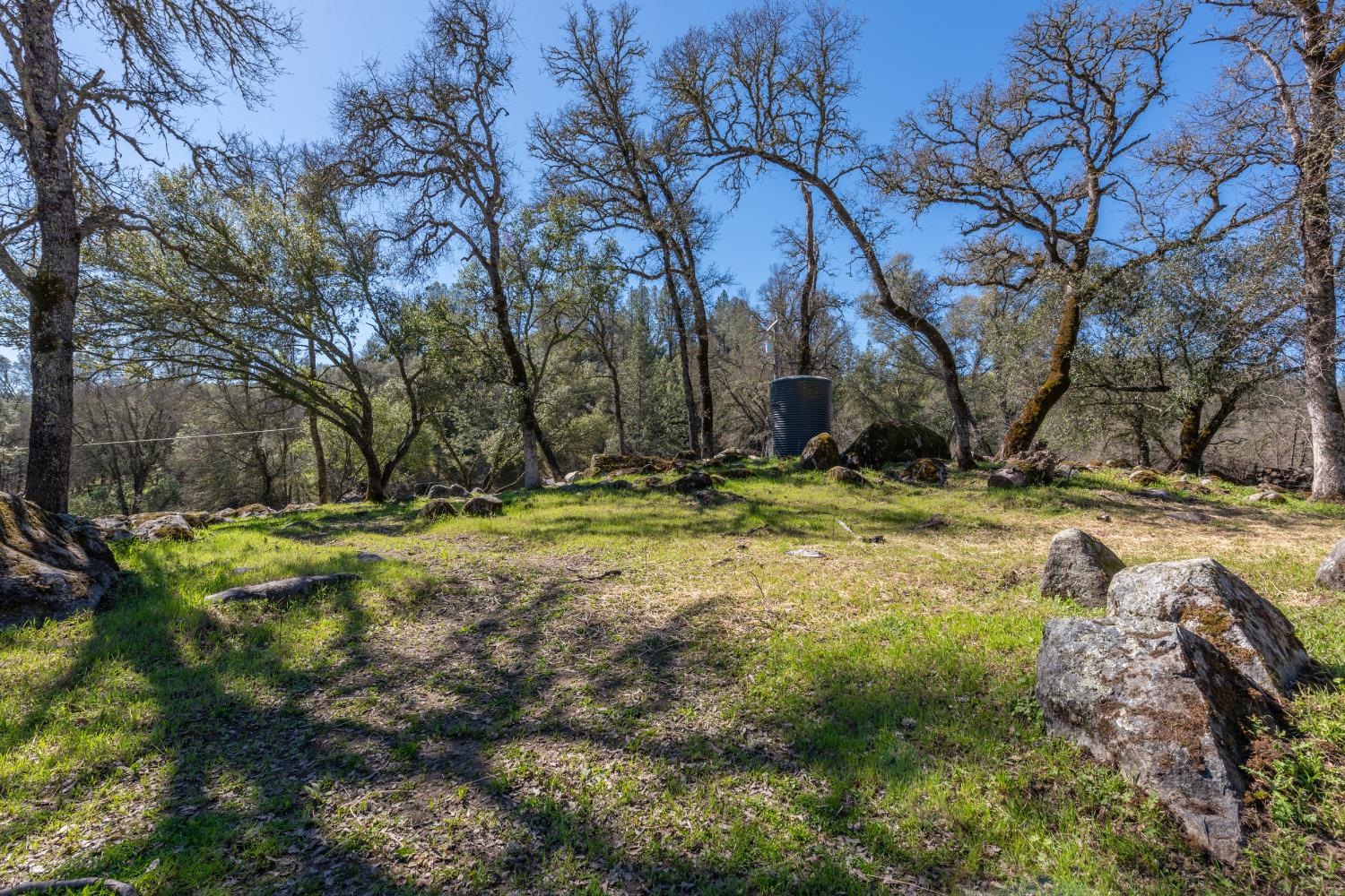 Lilyama Road, Pilot Hill, California image 31