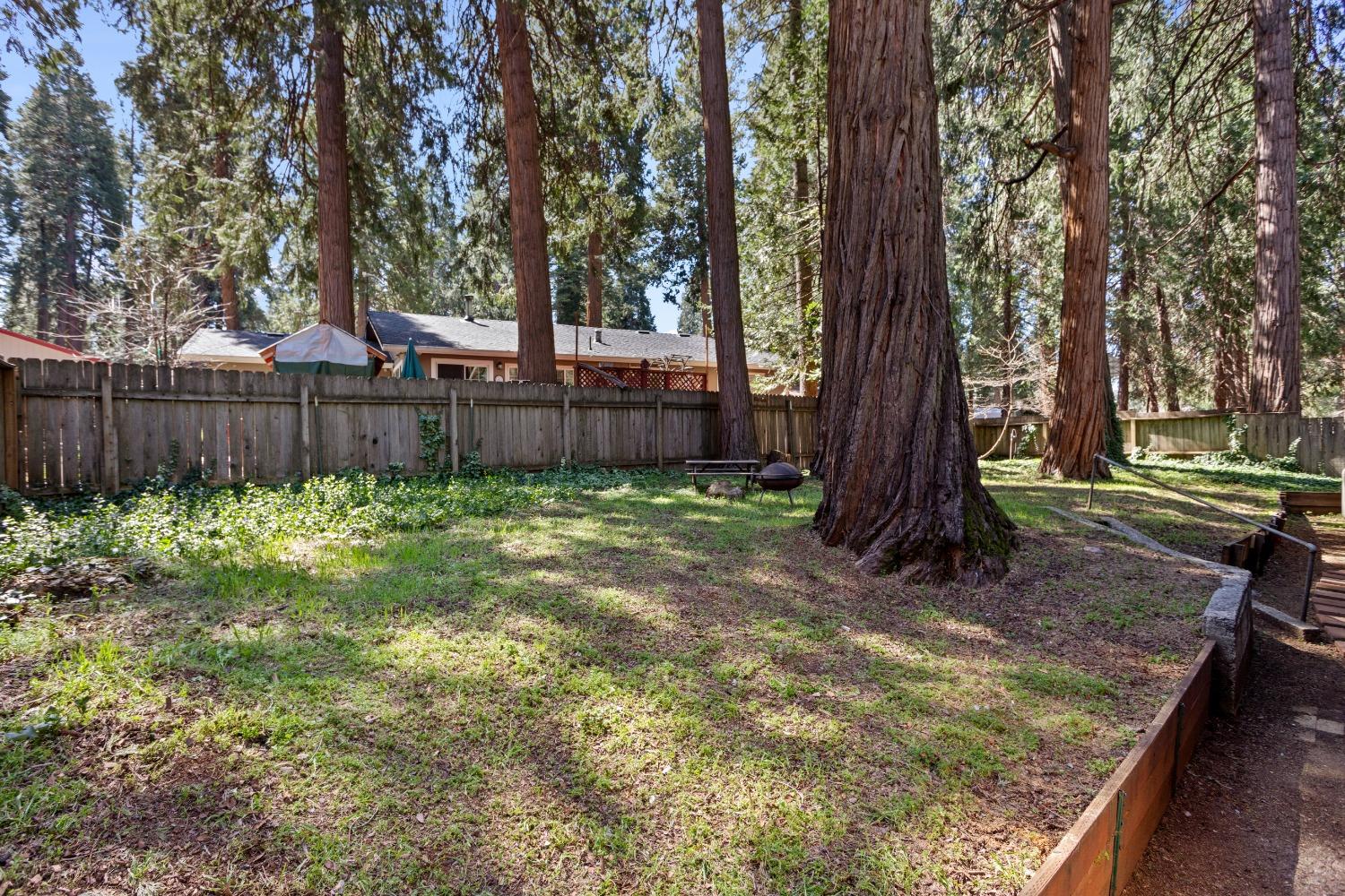 Detail Gallery Image 16 of 19 For 2803 Loyal Ln, Pollock Pines,  CA 95726 - 2 Beds | 1 Baths