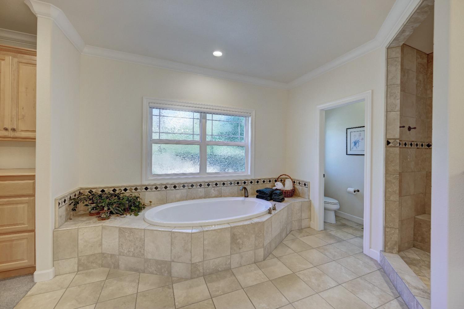 Detail Gallery Image 29 of 58 For 540 Raggio Ct, Angels Camp,  CA 95222 - 3 Beds | 2/1 Baths